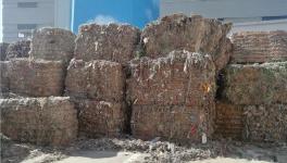 創收40萬/天！替代燃料降本火了！